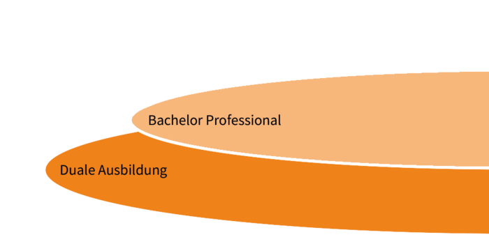 Grafik mit zwei Stufen: Unten die Duale Ausbildung, darüber der Bachelor Professional.